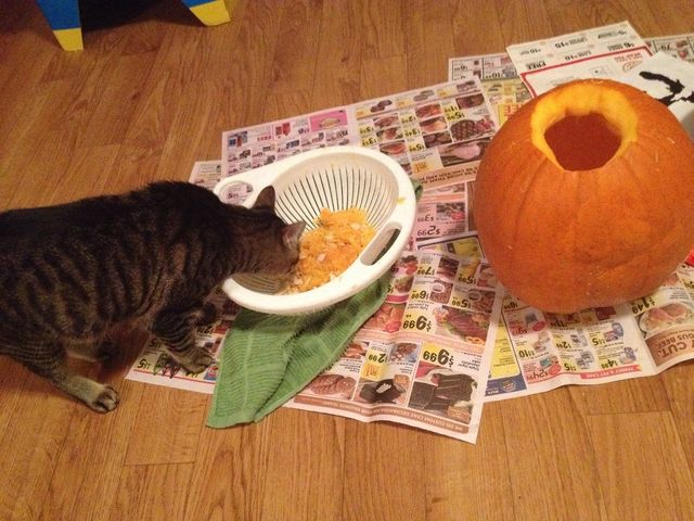 Pumpkin 