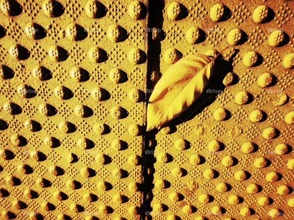 A single leaf lays on a vibrant yellow boarding platform at a New Jersey train station.