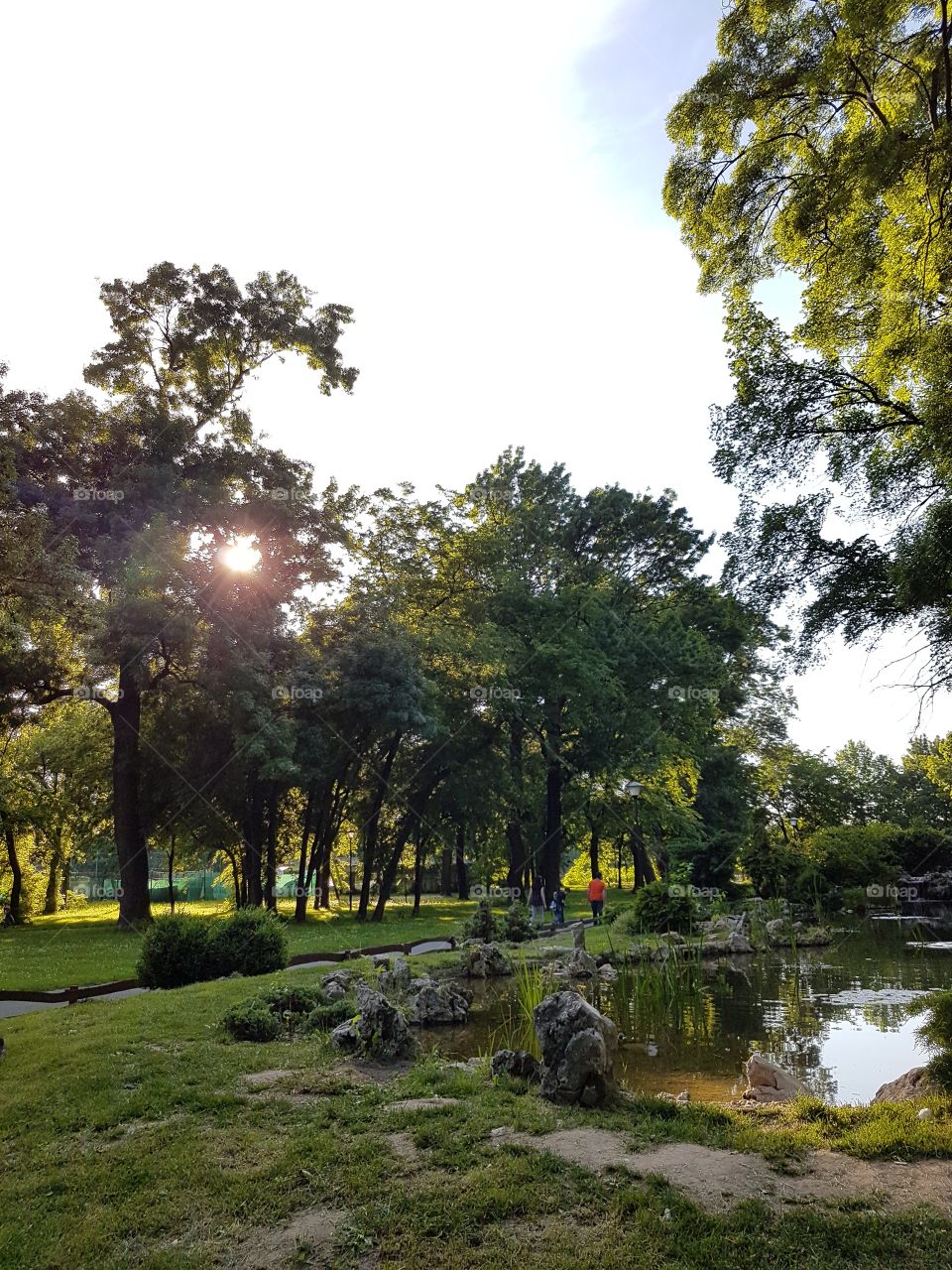 nature park with small lake