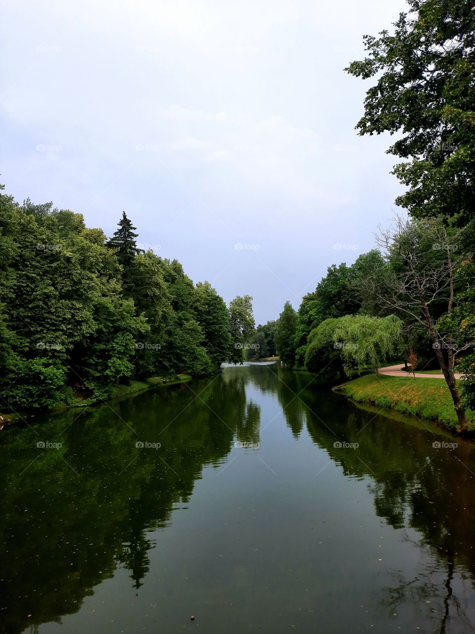 Lake in the park