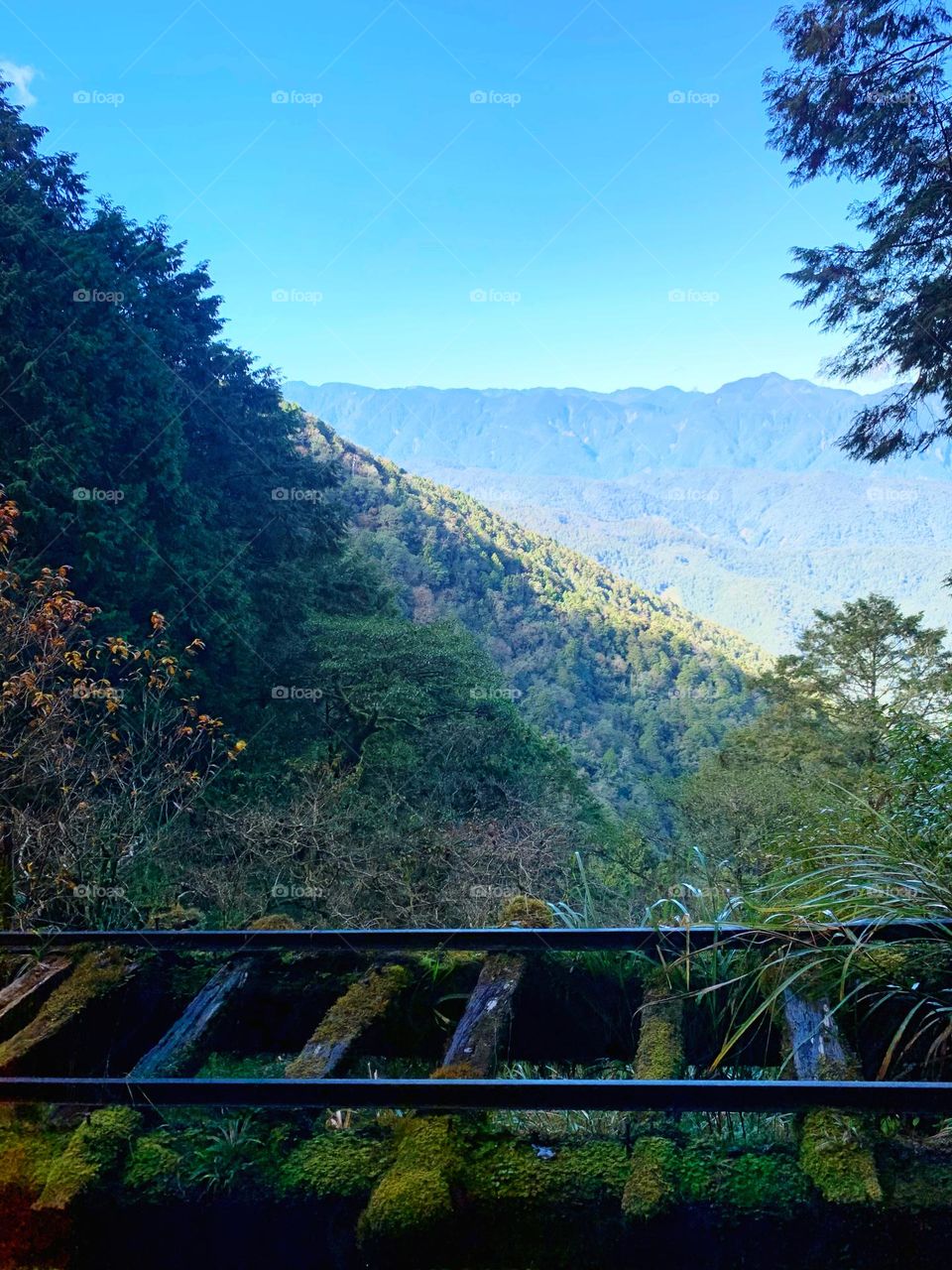 Abandon Rail track In the mountain