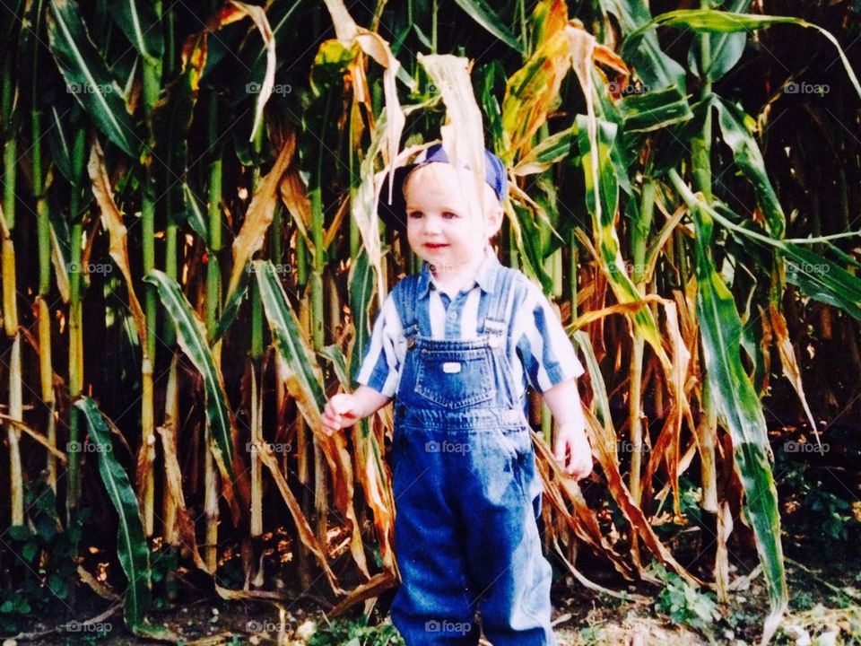 Boy in corn field