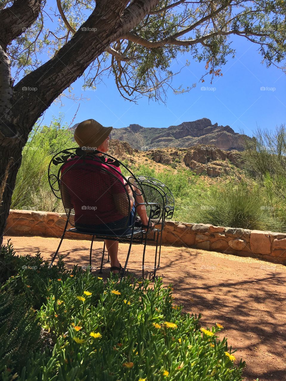 Enjoying the sunshine 