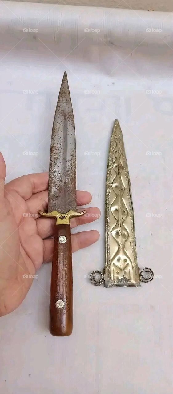 A very beautiful picture, and there is no better picture than it. There is no better picture of green herbs and colorful, red and white roses than it. Glory be to God, the natural and picturesque view, and there is no more