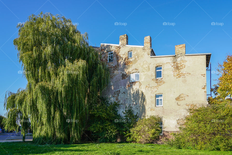 brick house with a few windows, next to a large tree