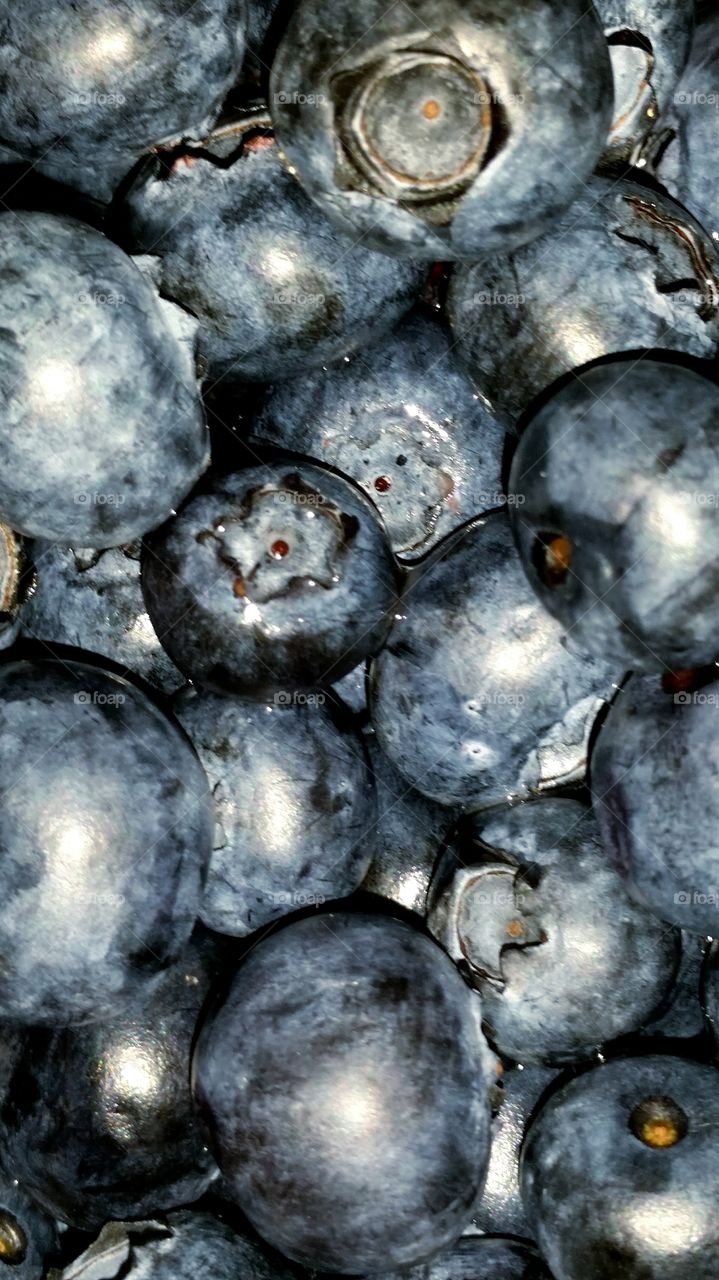 Full frame of blueberries
