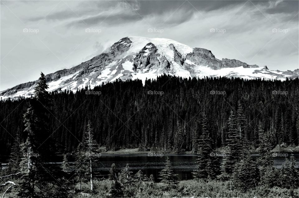 Mt Rainier