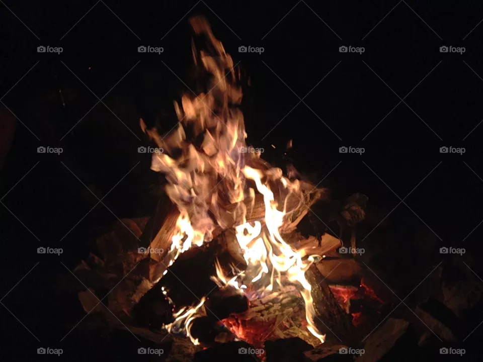 Campfire nights 