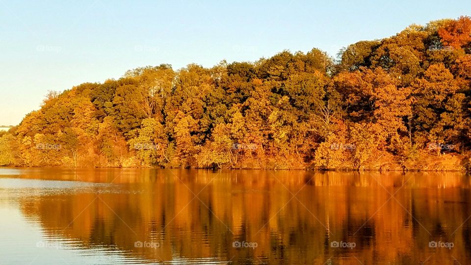 Autumn Lake