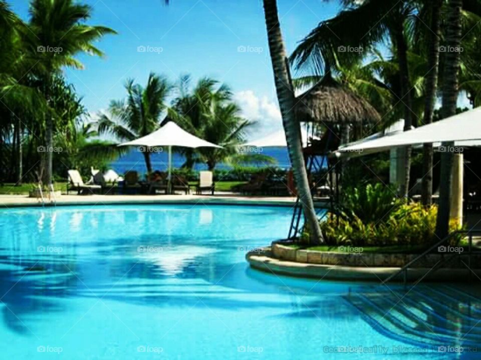 The spectacular beautiful artistic design of swimming pool situated in Shangri-la Hotel and Resort.