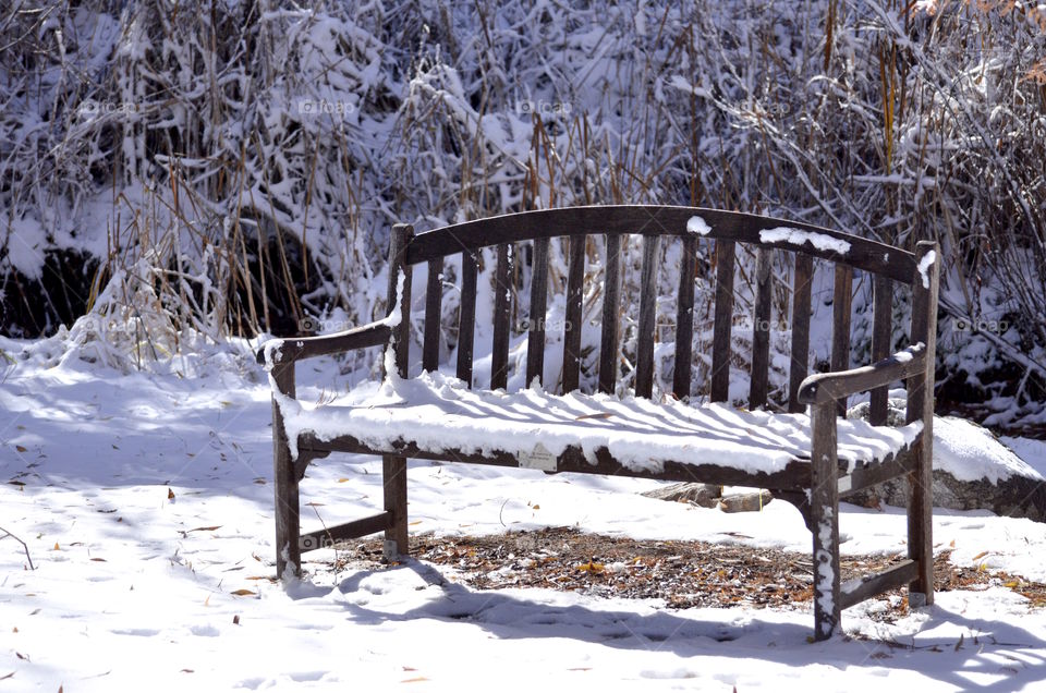 Park bench in snow