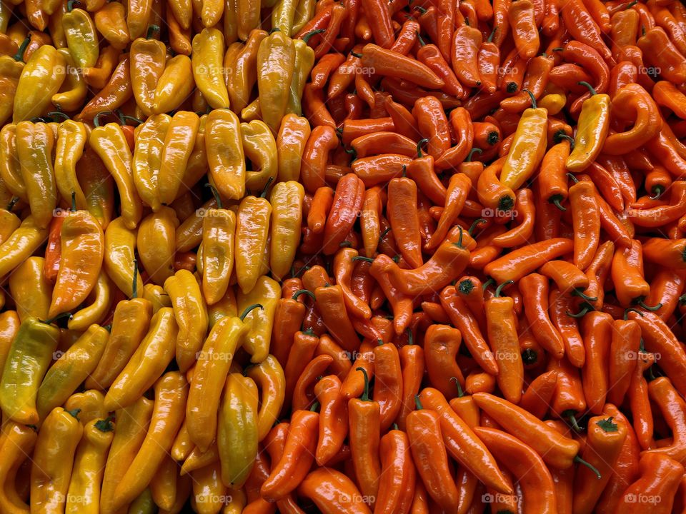 colorful peppers