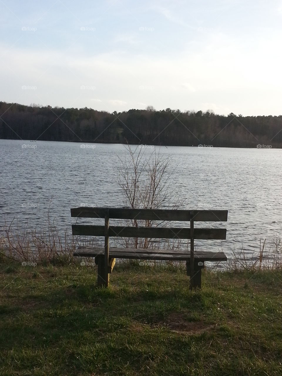 bench view. beautiful water view with a bench