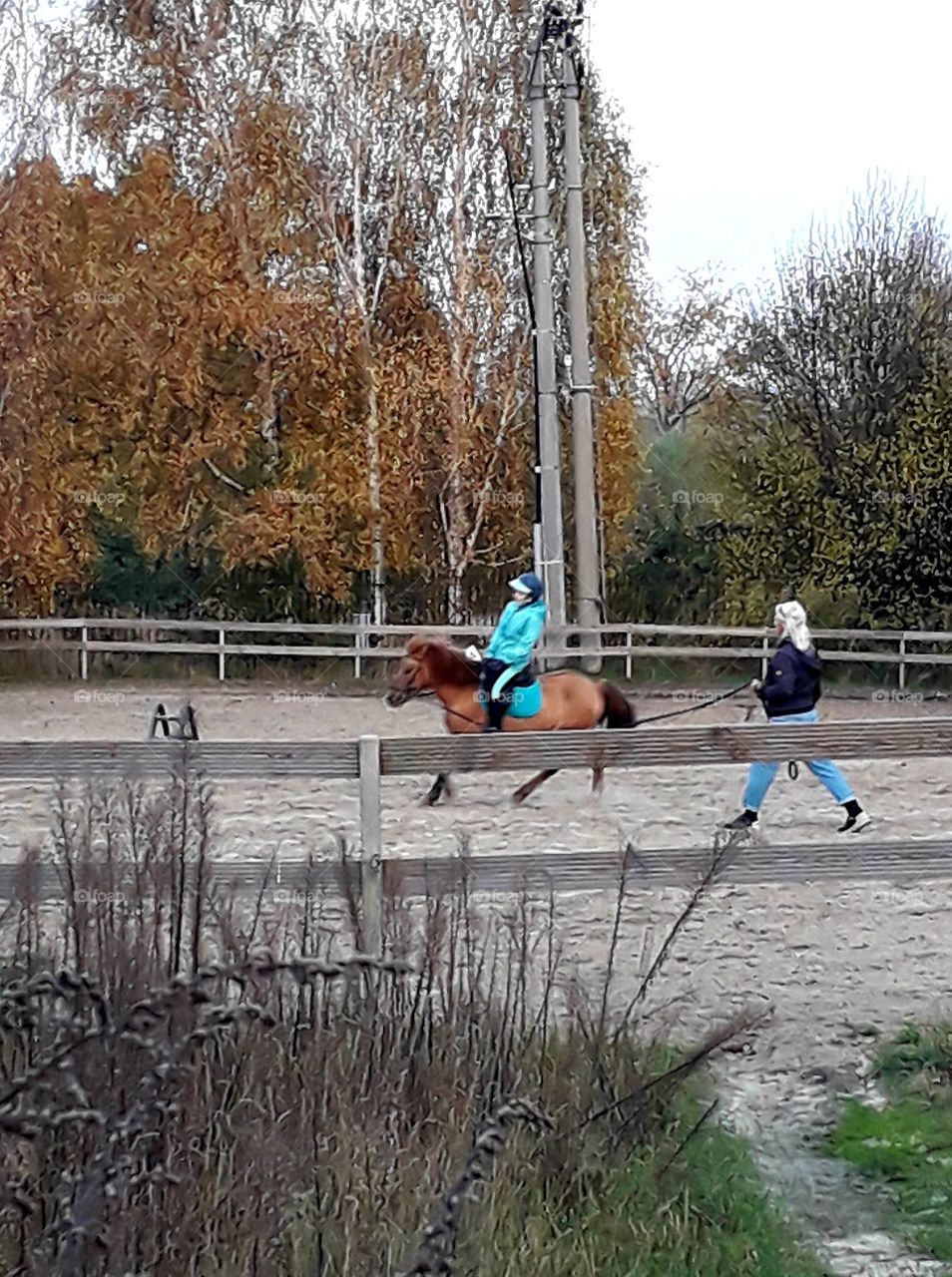 young girl on a trotting pony  - riding lesson