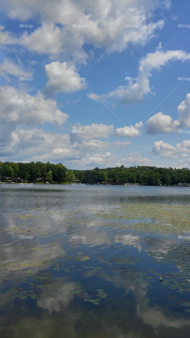 Reflections on Brady lake