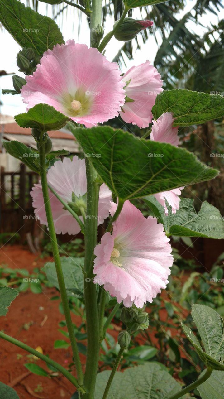 O que acha dessa suavidade?