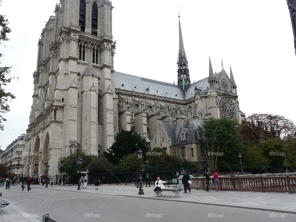 Catherdral of Our Lady of Paris