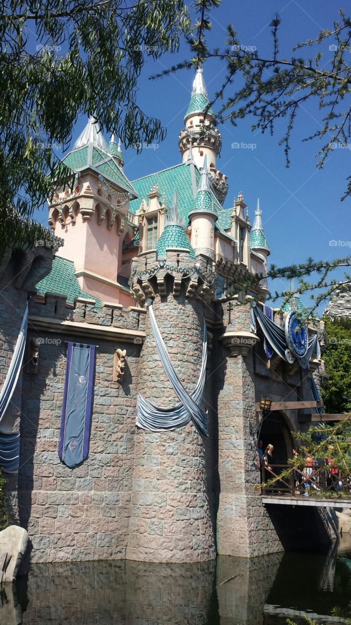 Cinderella's Castle  
