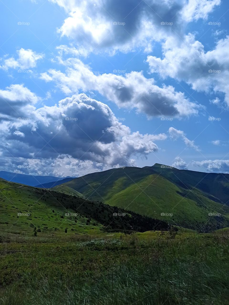 Your favourite travel destination
My beloved Carpathians. Green flower meadows. Cows with bells around their necks. Unforgettable trip across Ukraine. Mountains Dragobrat. Magnificent nature.