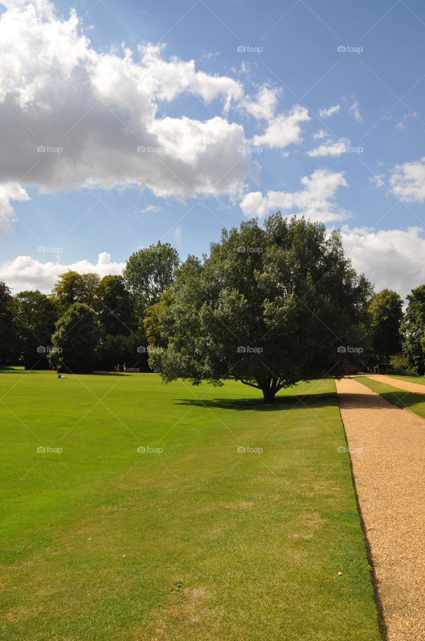 Lovely Cambridge view 