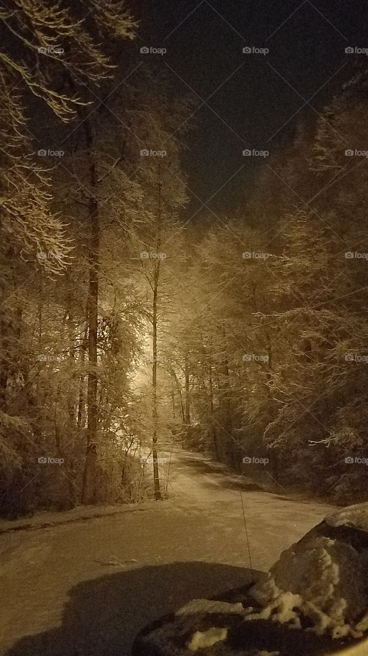snow being lit by streetlight at the bottom of our driveway.