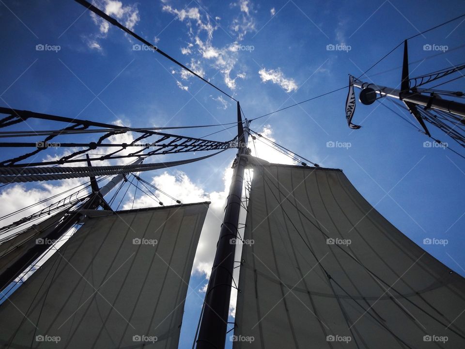 Shadowy Sails