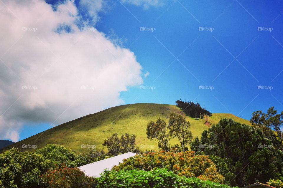 Scenic view of mountain