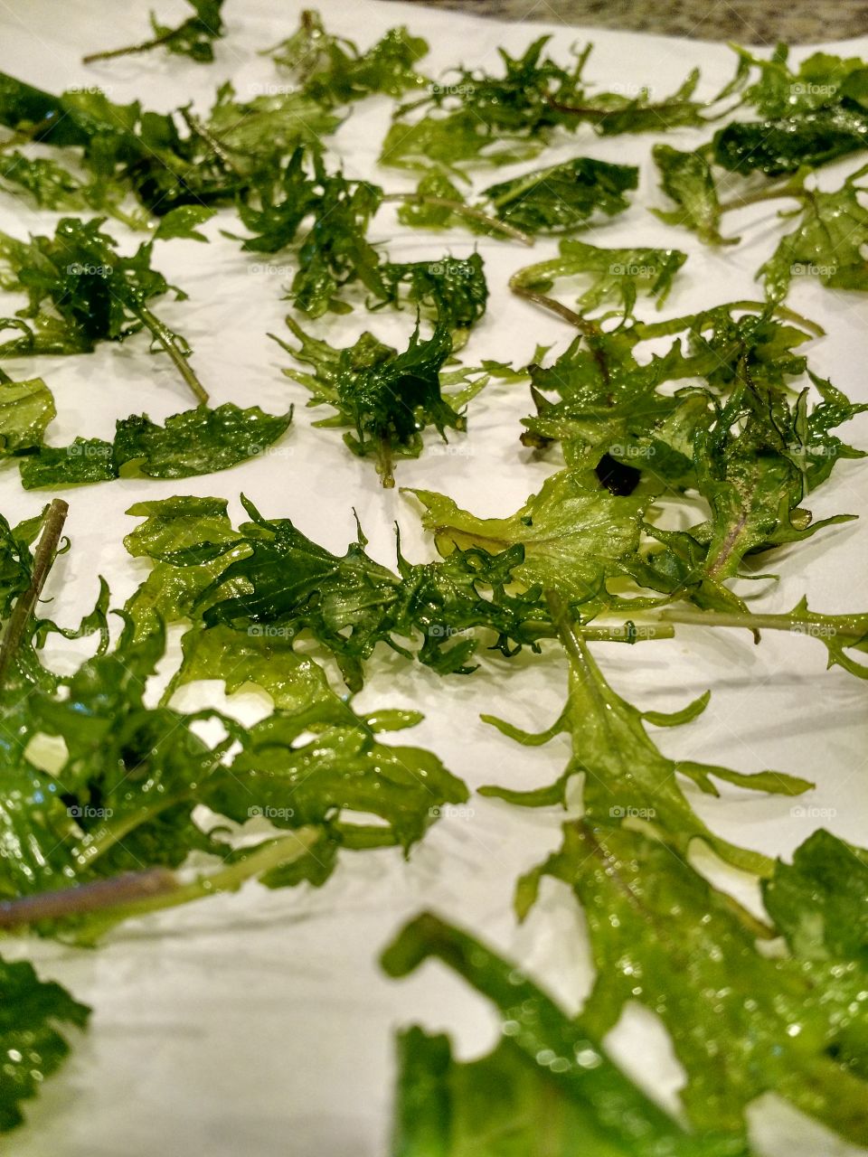 kale noms. making kale chips