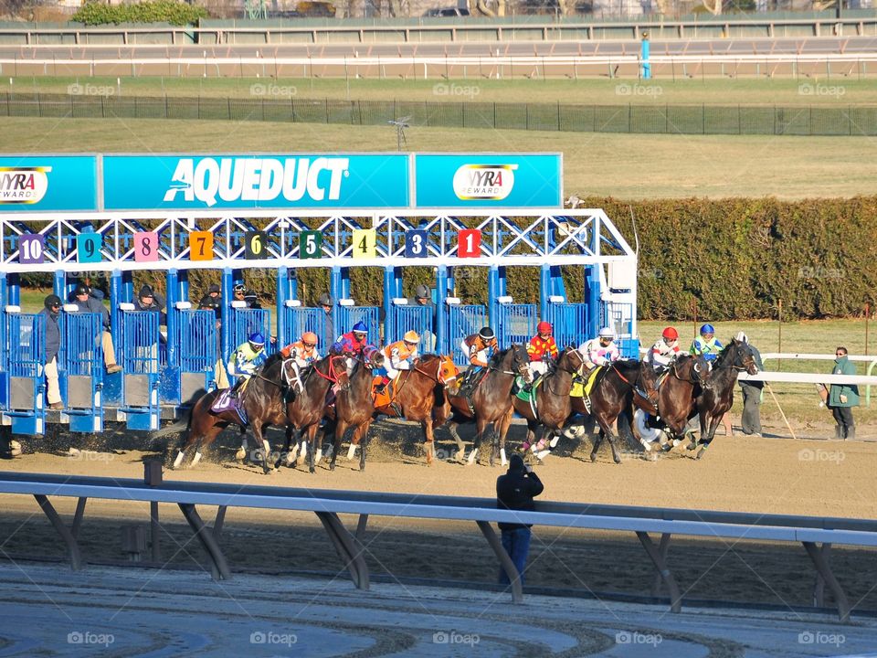 Breaking from the Gate. Racing from Aqueduct since 1894. The start of any race begins when gates erupt open and the thrust of power jumps out. 