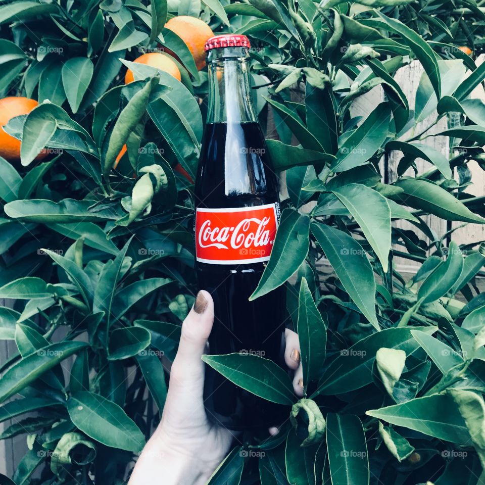 Holding a Coca Cola bottle 