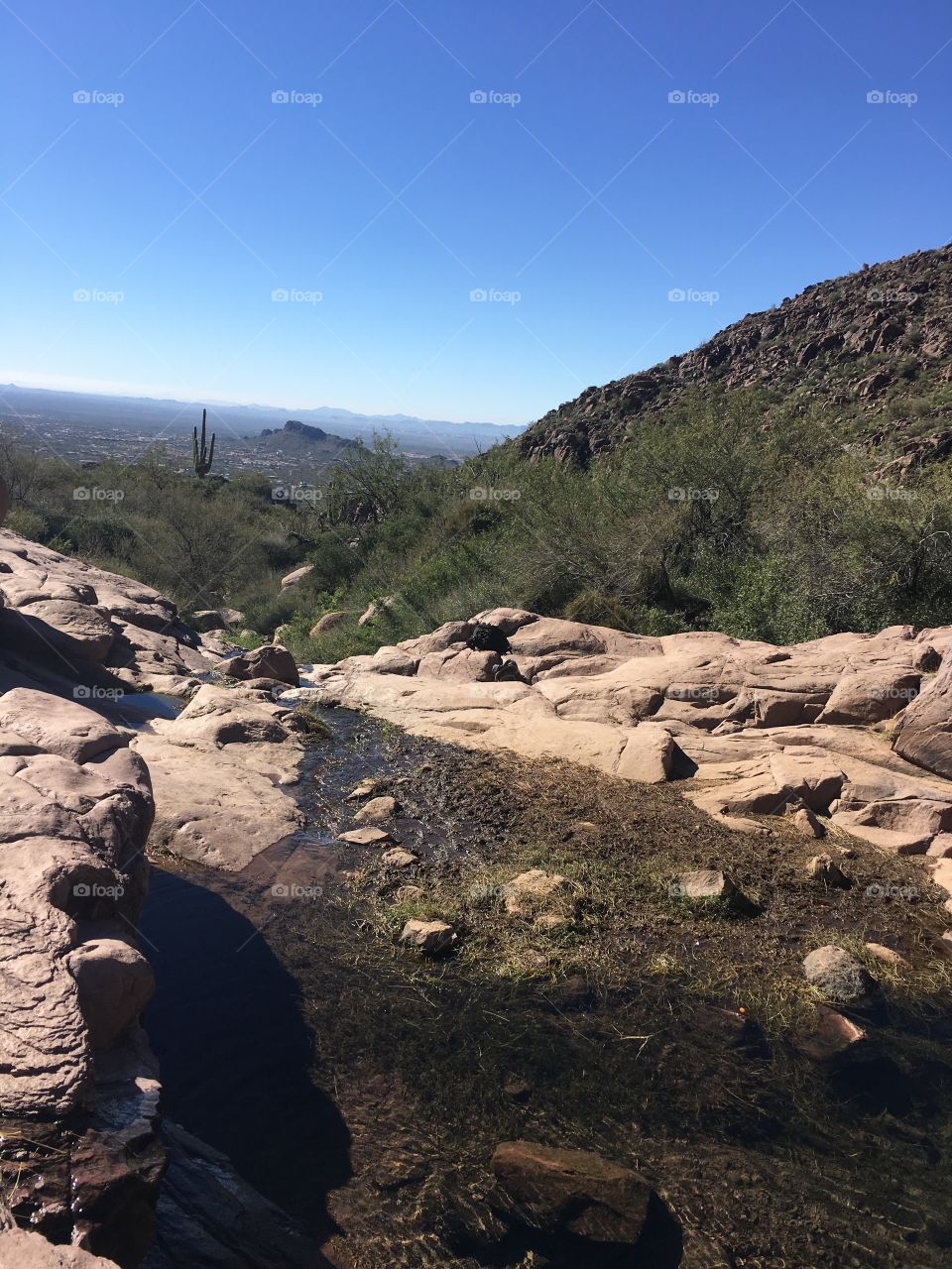 River in the Mountains 