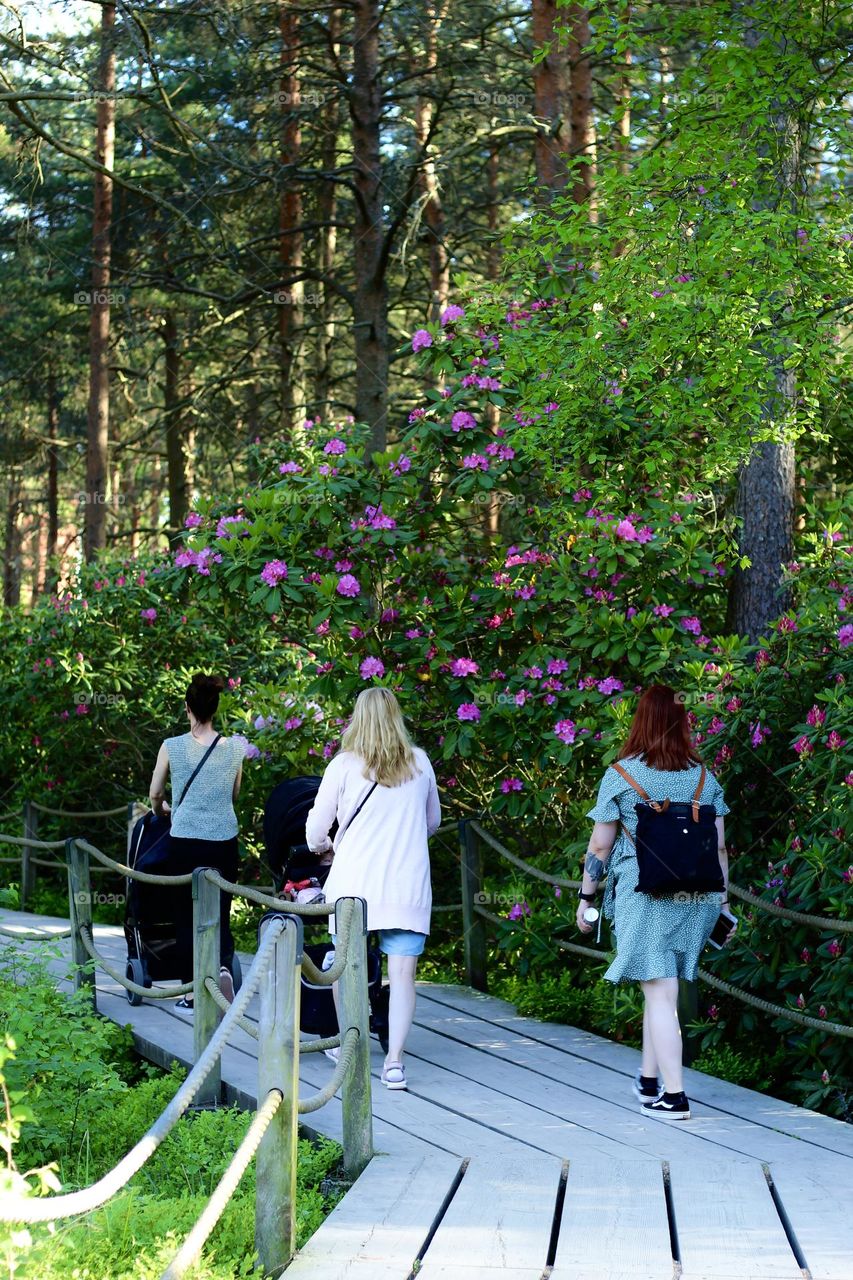 Out for a walk with friends at Haaga alpine rose park in Helsinki, Finland