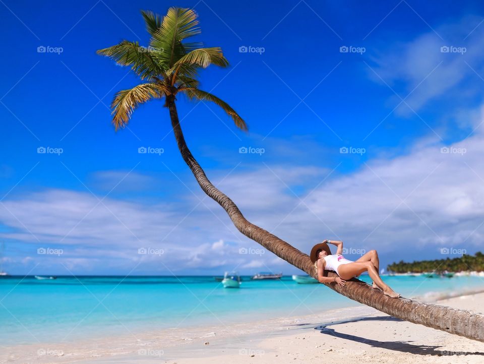 palm tree on caribbean beach