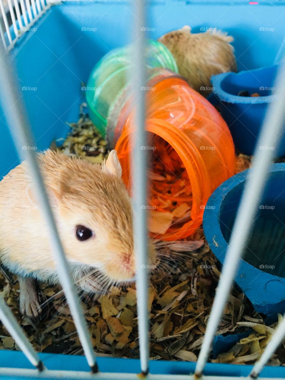 But the only thing that can make 