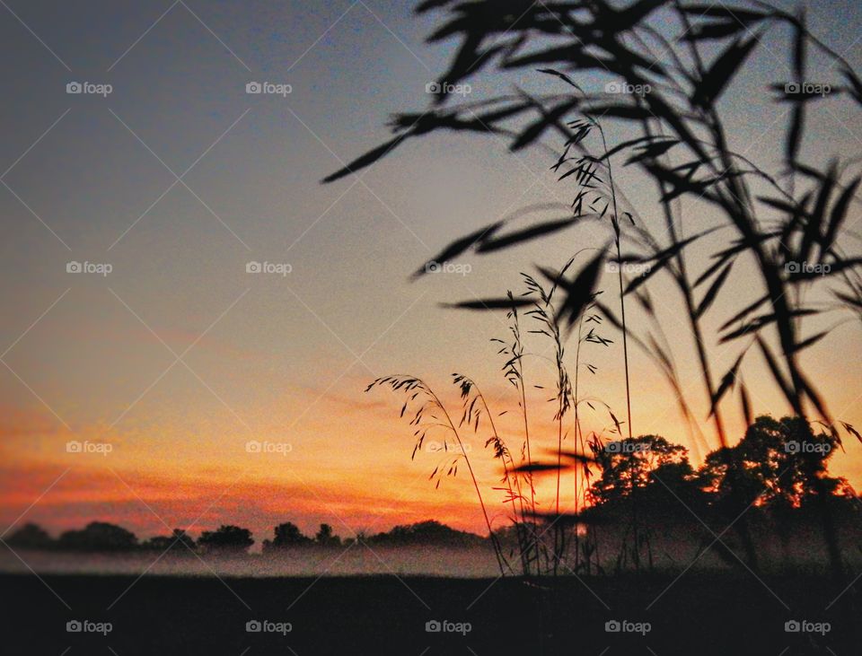 landscape sunset silhouette