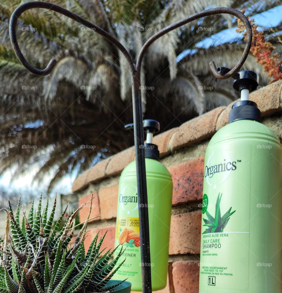 Organics Daily Care 2-in1, Shampoo and Conditioner