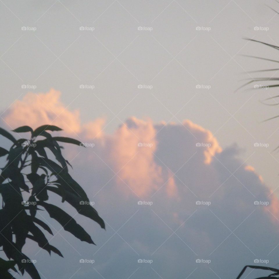 The evening sky looks cloudy and becomes blurry when in the photo

￼