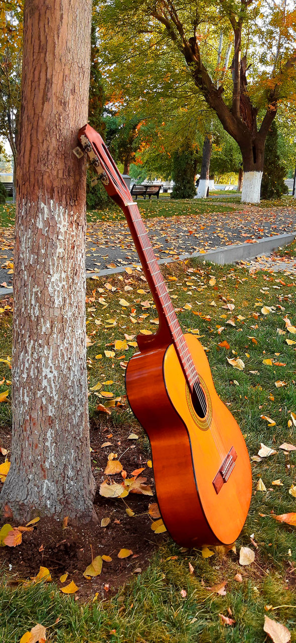 guitar