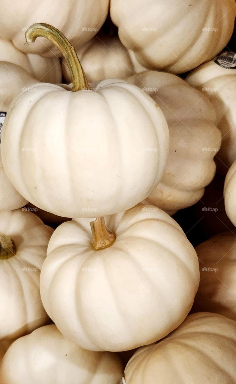 close up view of a pile of small white decorative pumpkins for sale in an Oregon store