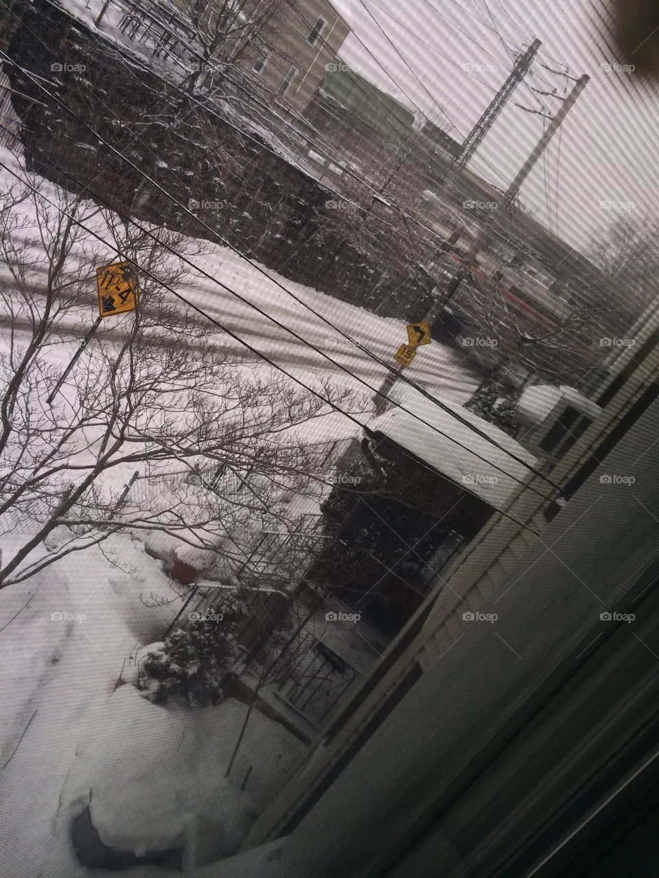 Snowday 