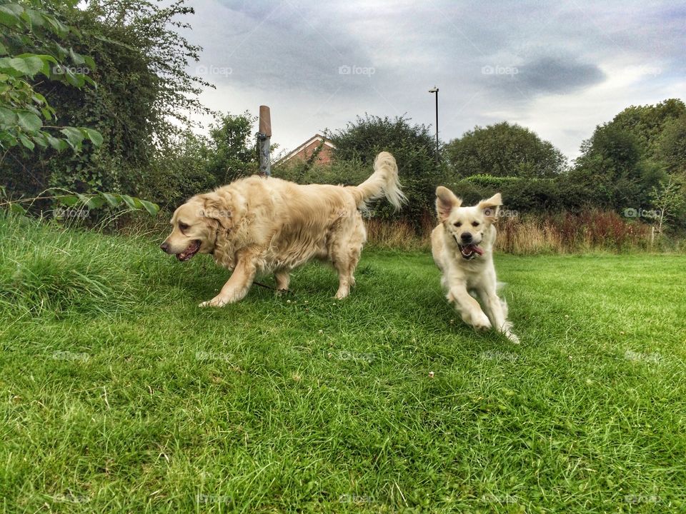 Nocas and Zoe . A fun day at the park 