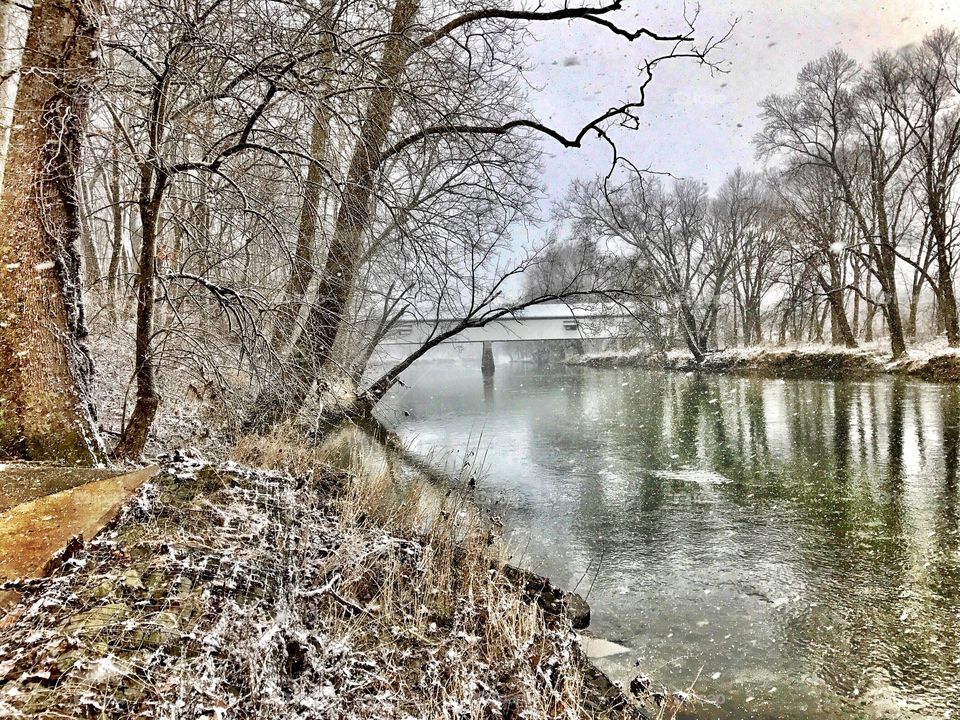 Snowy day by the river