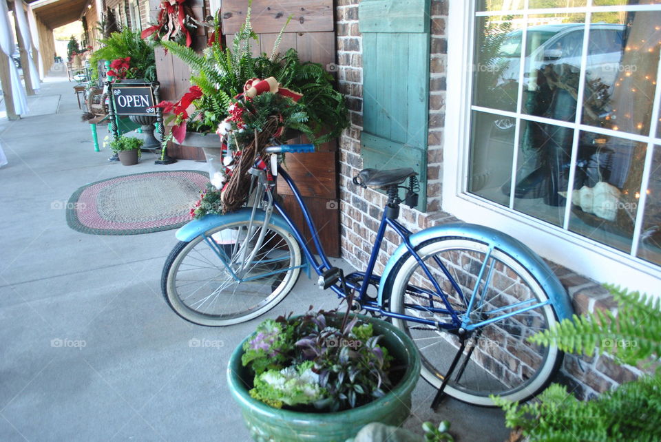 A bike and flowers outside a store