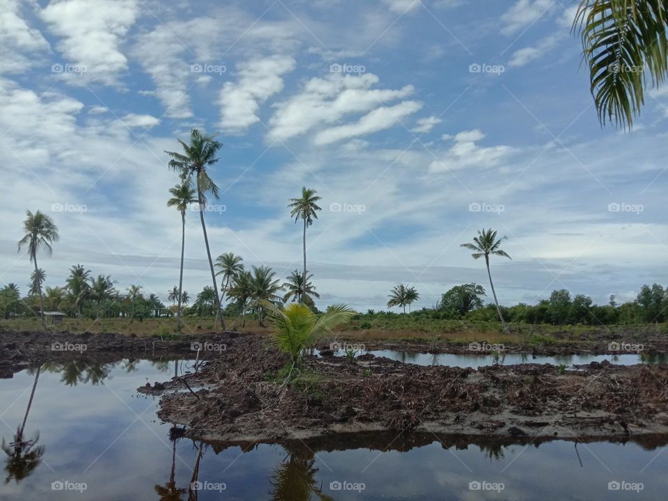 Natural Panorama of the Indonesian Archipelago. West Coast of North Sumatra