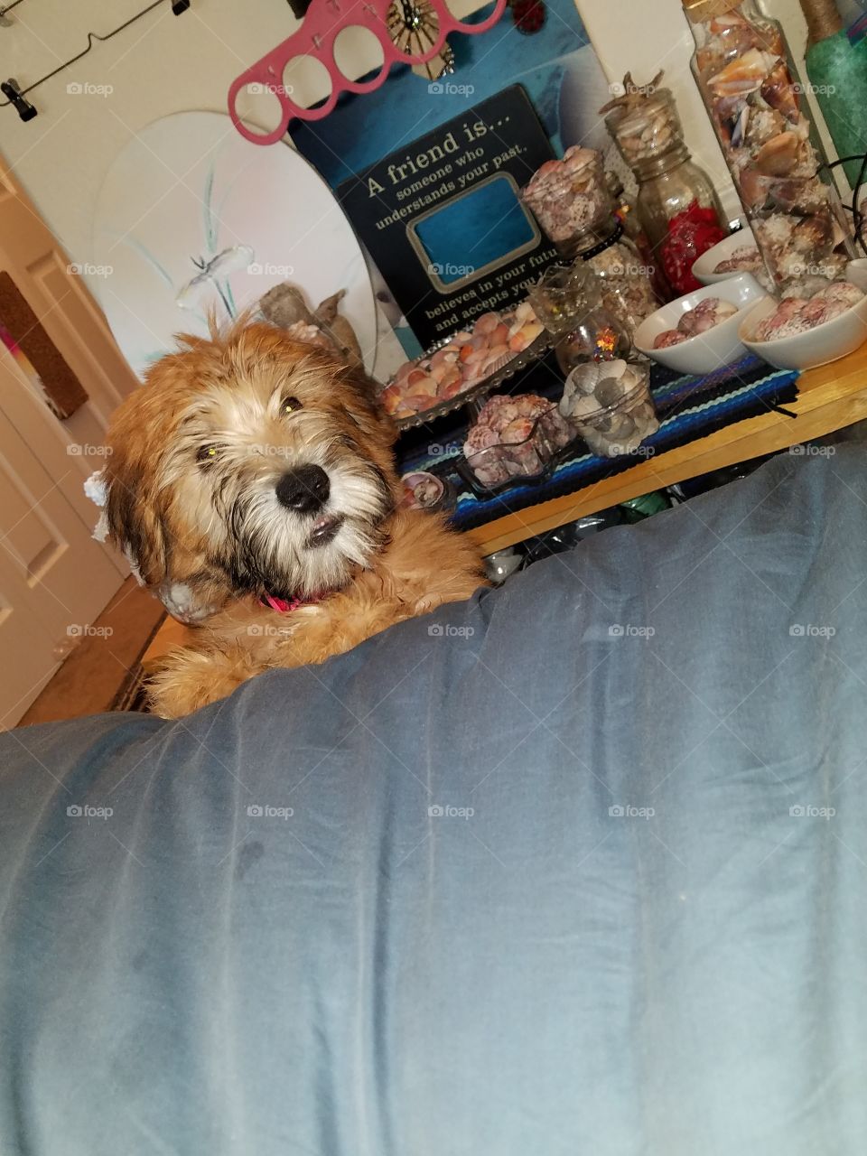 seriously,  does it get any cuter than this ?!😍😍😍😍