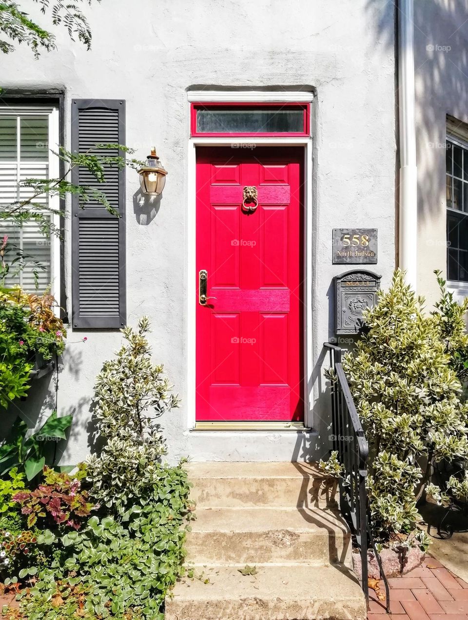 Urban nature: plants