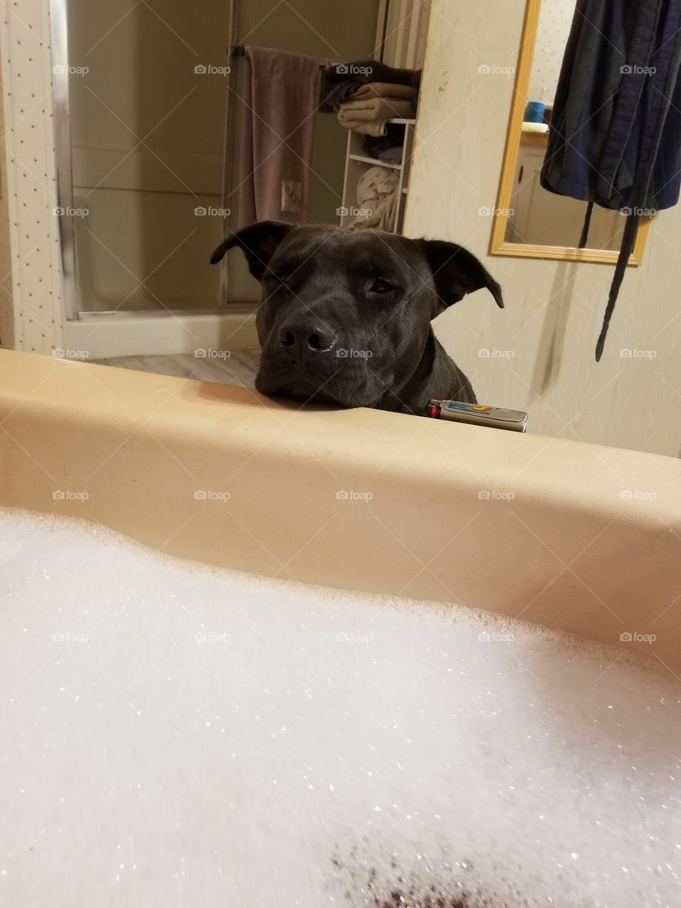 peanut wants a bubble bath