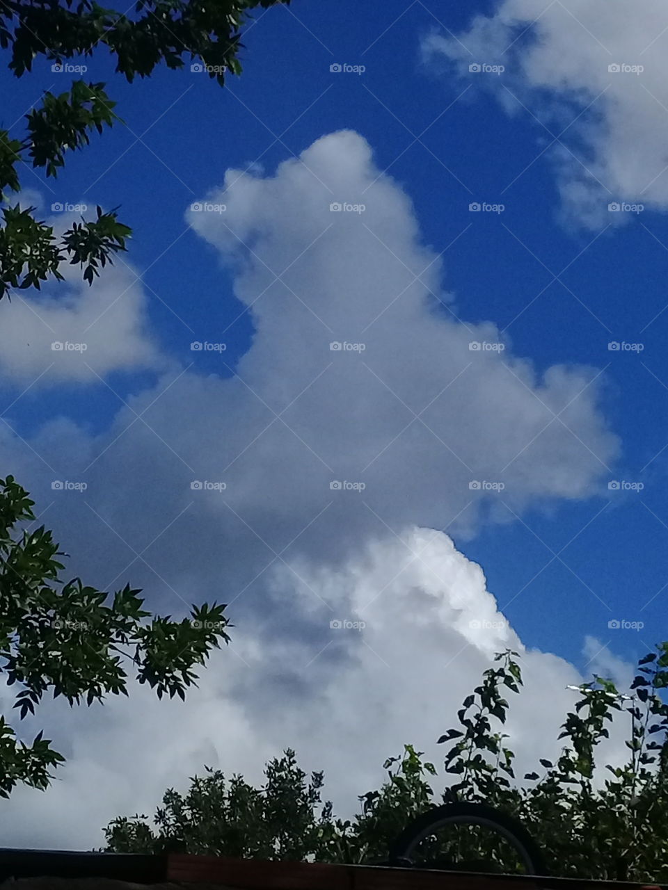 imagen de un cielo de verano con nubes blancas asomando entre las copas de árboles.