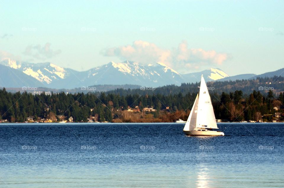 Sailing on a clear day