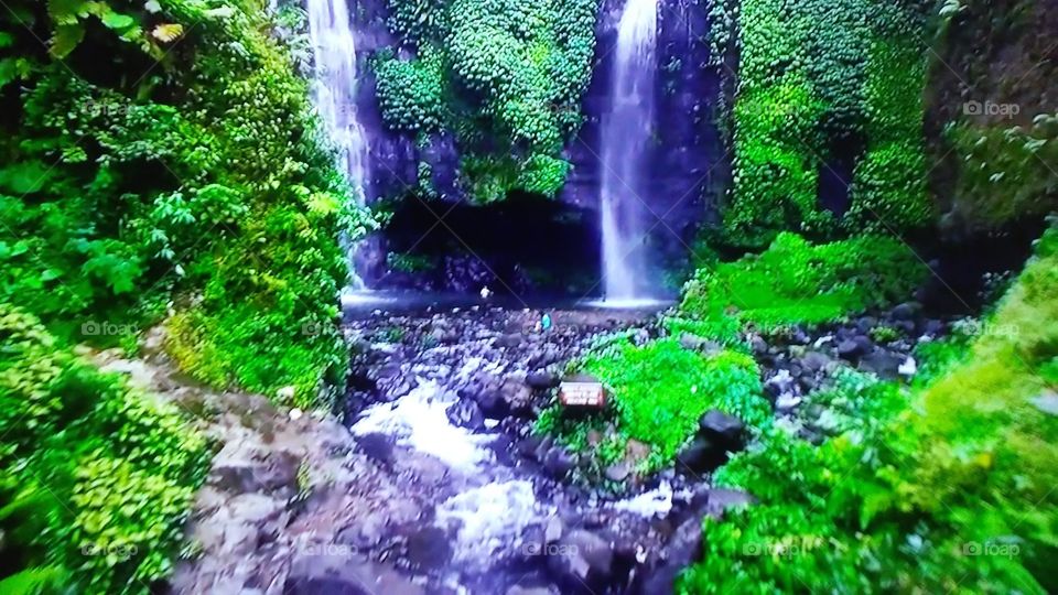 Water, Nature, Leaf, Wood, Waterfall